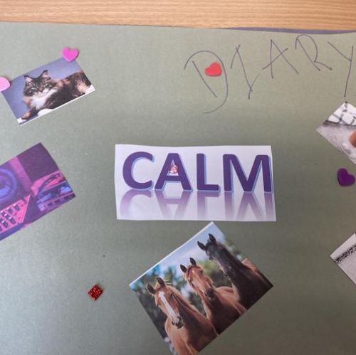 OUR CALM POSTERS